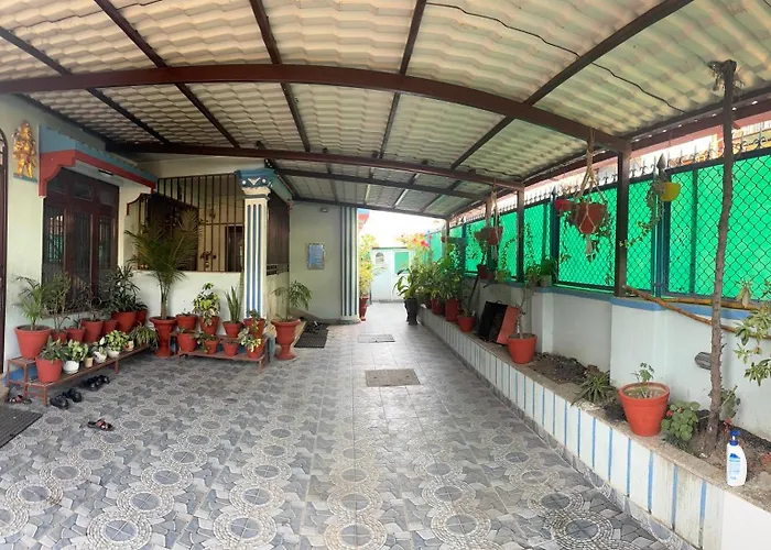 Pahuna *
